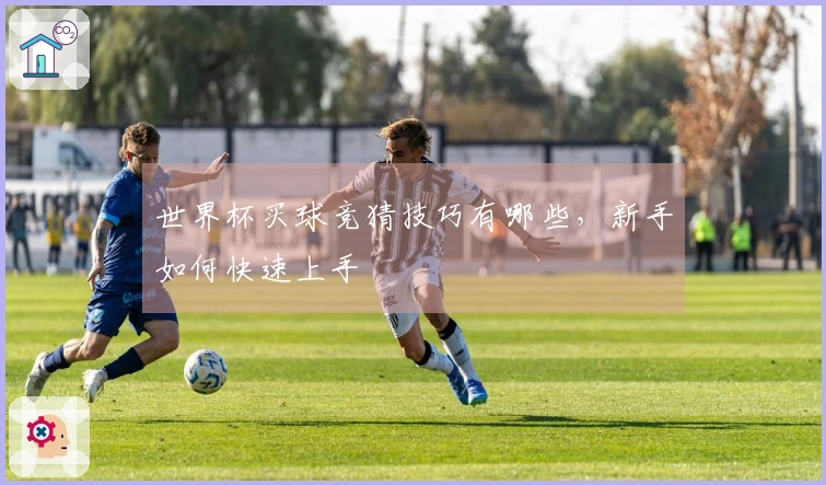 世界杯买球竞猜技巧有哪些，新手如何快速上手