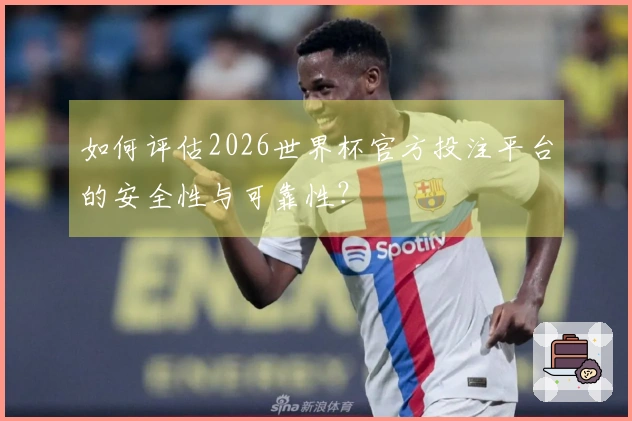 如何评估2026世界杯官方投注平台的安全性与可靠性？
