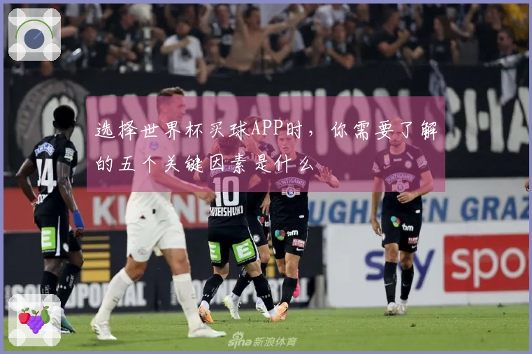 选择世界杯买球APP时，你需要了解的五个关键因素是什么
