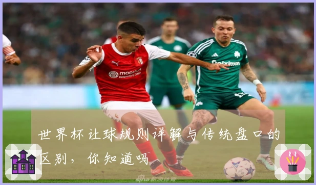 世界杯让球规则详解与传统盘口的区别，你知道吗