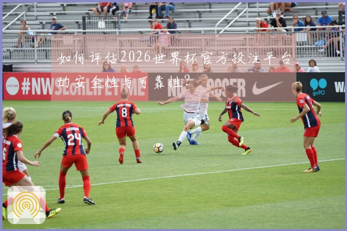 如何评估2026世界杯官方投注平台的安全性与可靠性？
