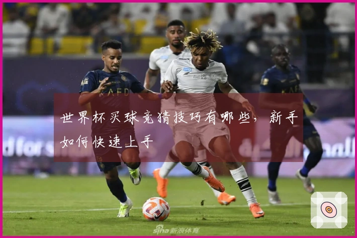 世界杯买球竞猜技巧有哪些,新手如何快速上手