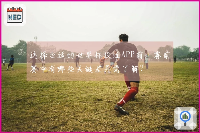 选择合适的世界杯投注APP前，赛前赛中有哪些关键差异需了解？