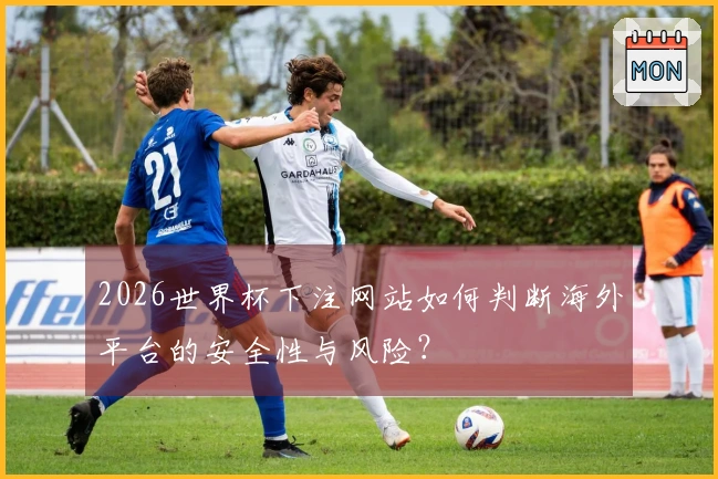 2026世界杯下注网站如何判断海外平台的安全性与风险?