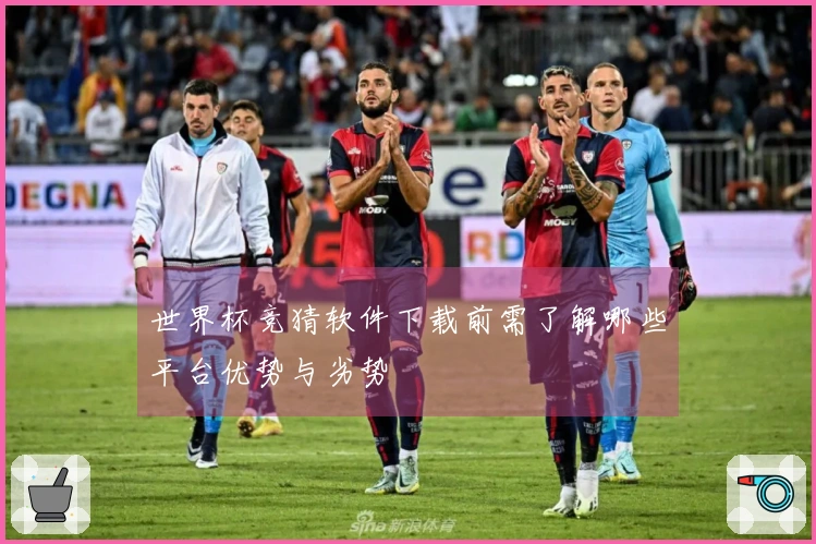 世界杯竞猜软件下载前需了解哪些平台优势与劣势