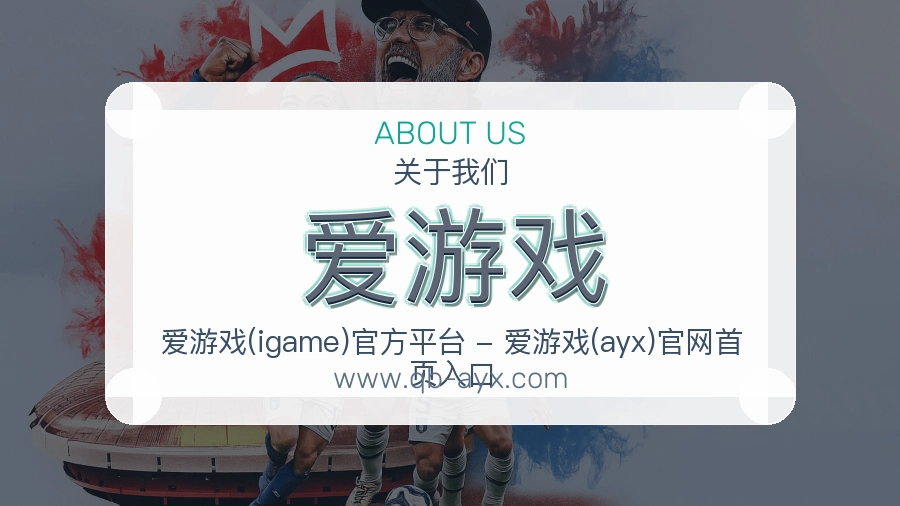 关于 爱游戏